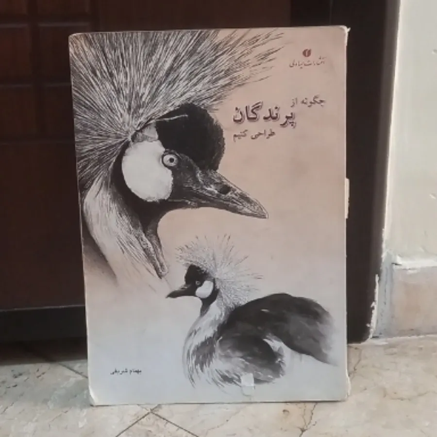 چگونه از پرنده طراحی کنیم