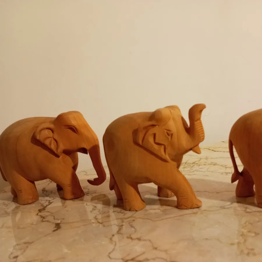 خانواده فیل چوبی