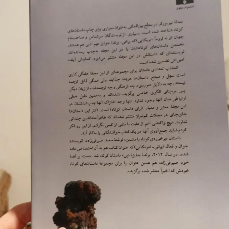 برخوردی کوتاه با دشمن