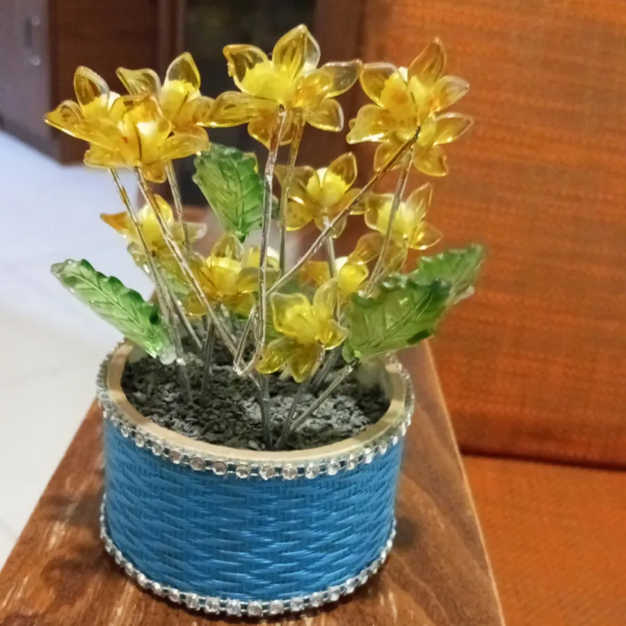 درختچه دکوری مروارید