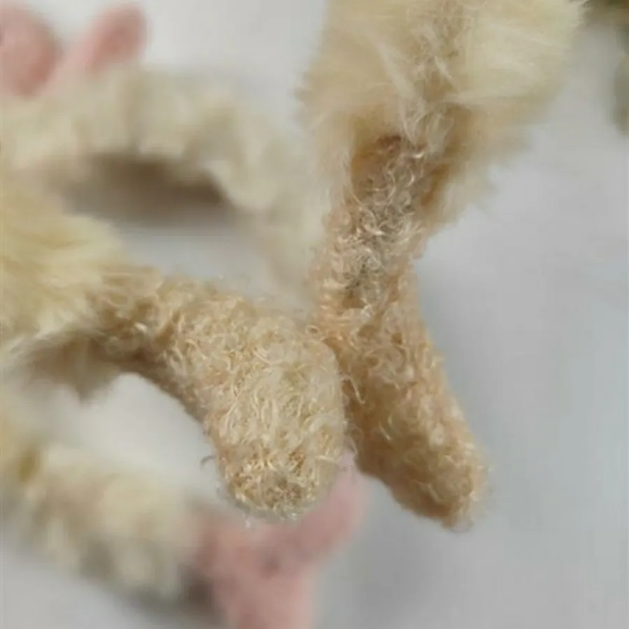 تل خرگوشی