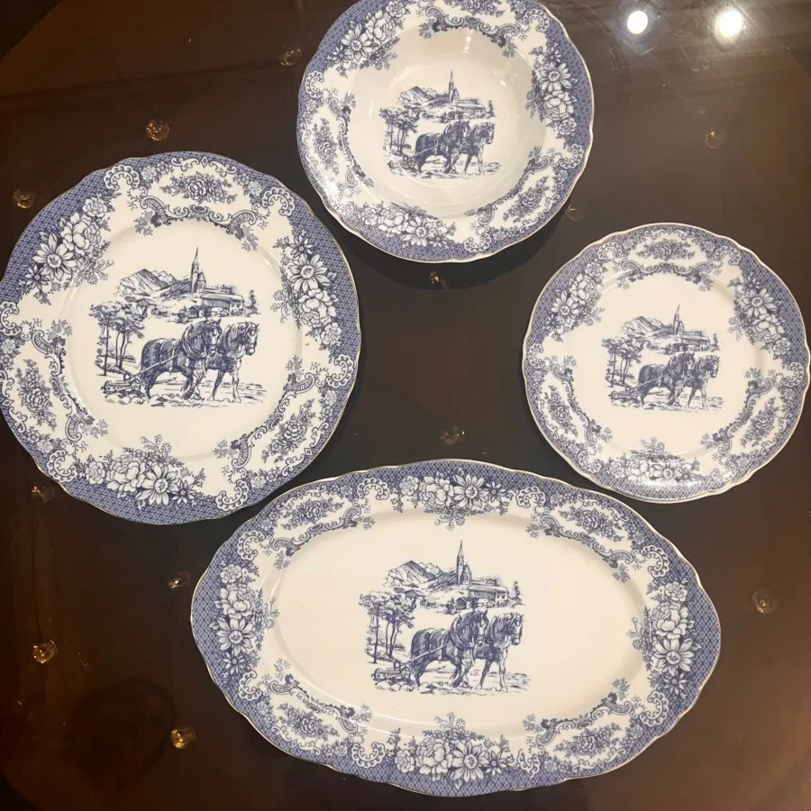 ظروف چینی پردیس