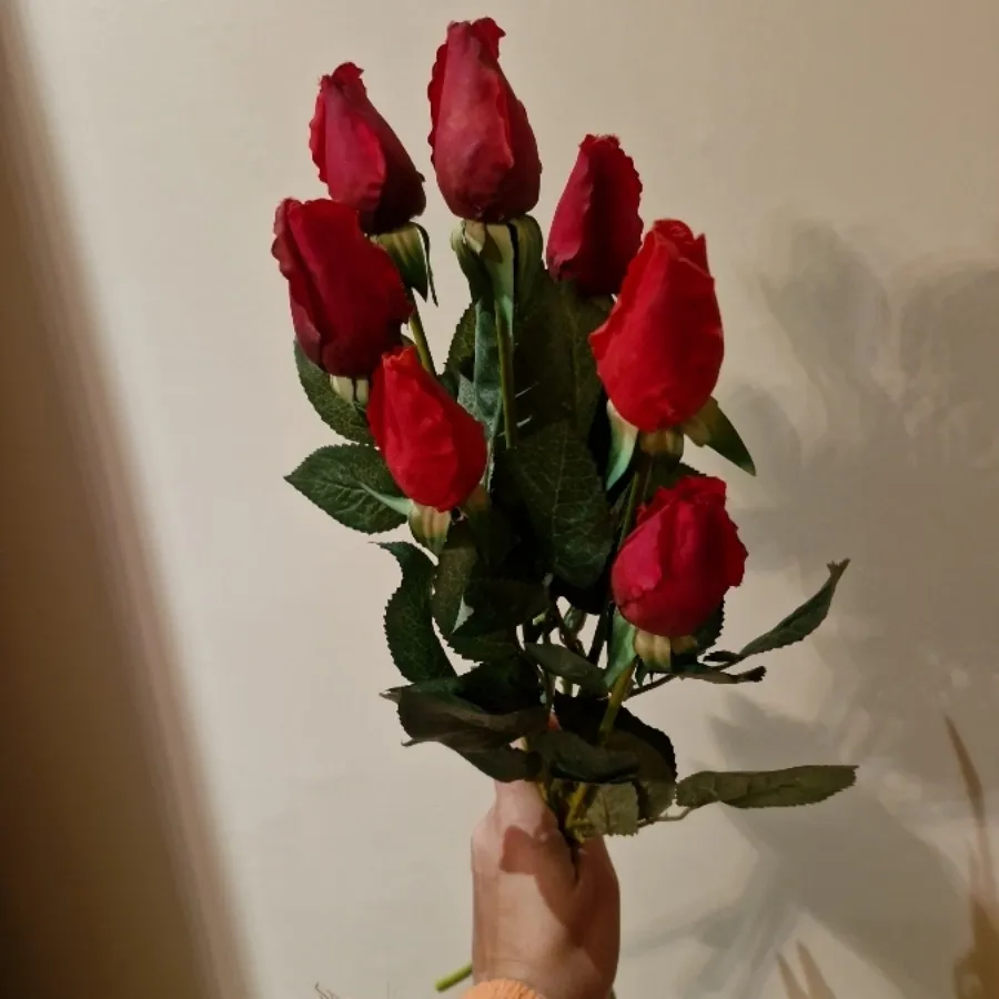 6 غنچه گل رز خارجی