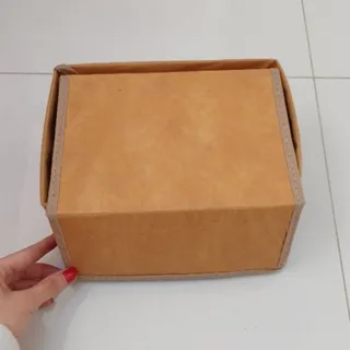 ارگانایزر