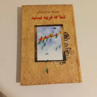 شما که غریبه نیستید