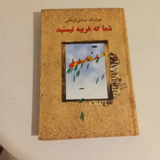 شما که غریبه نیستید