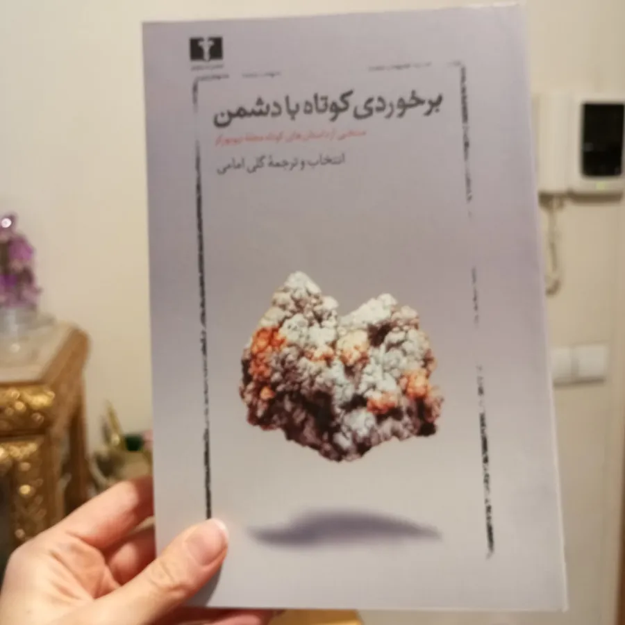 برخوردی کوتاه با دشمن