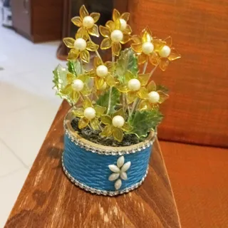درختچه دکوری مروارید