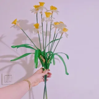 گل نرگس