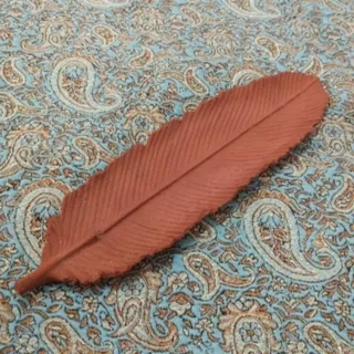 جاعودی طرح پر