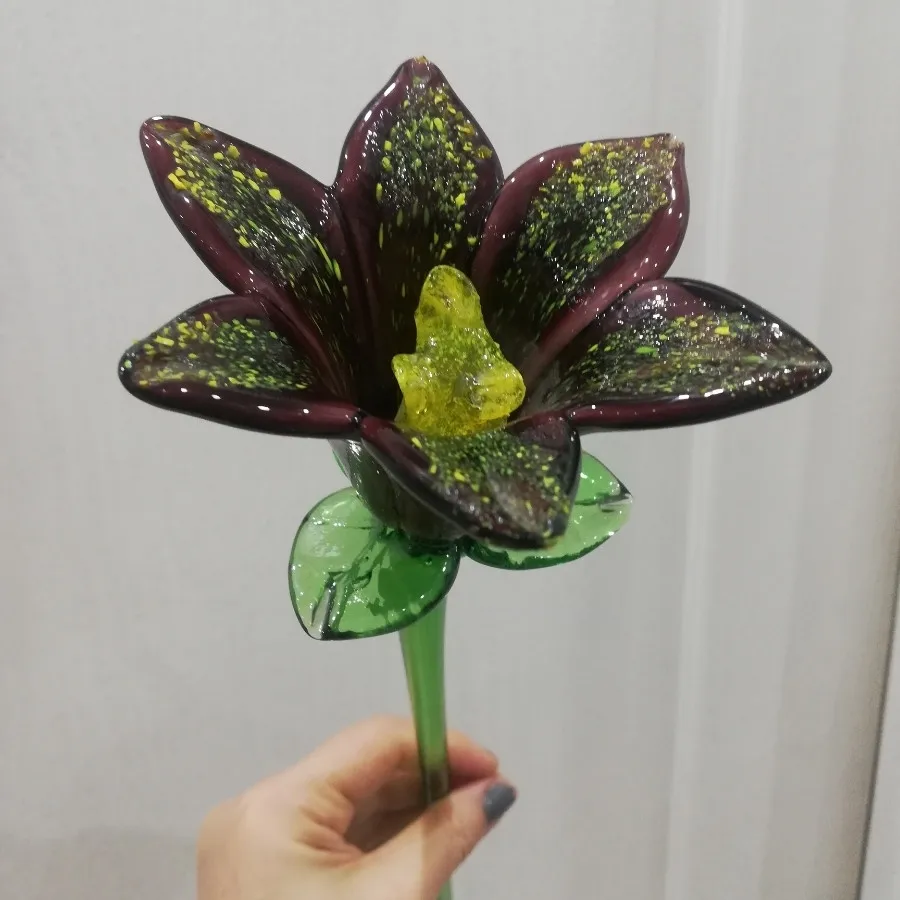 گل مورانو