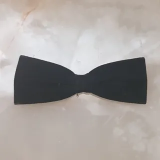 پاپیون پسرانه