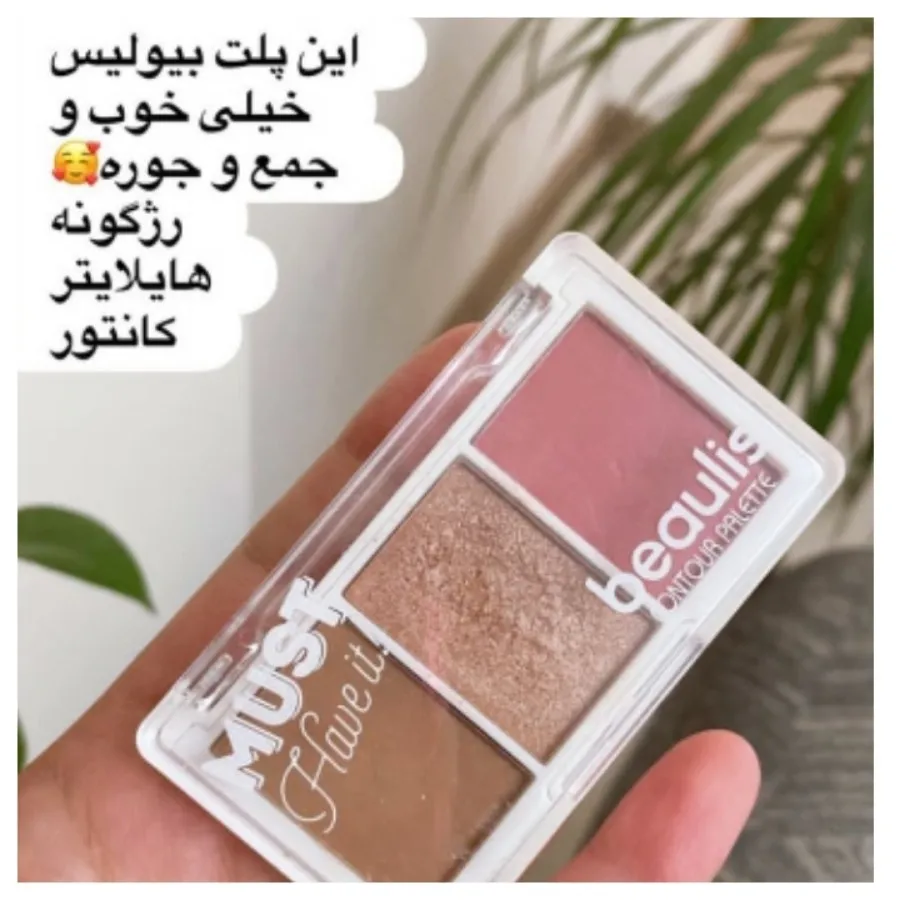 پالت سه کاره مینی بیولیس