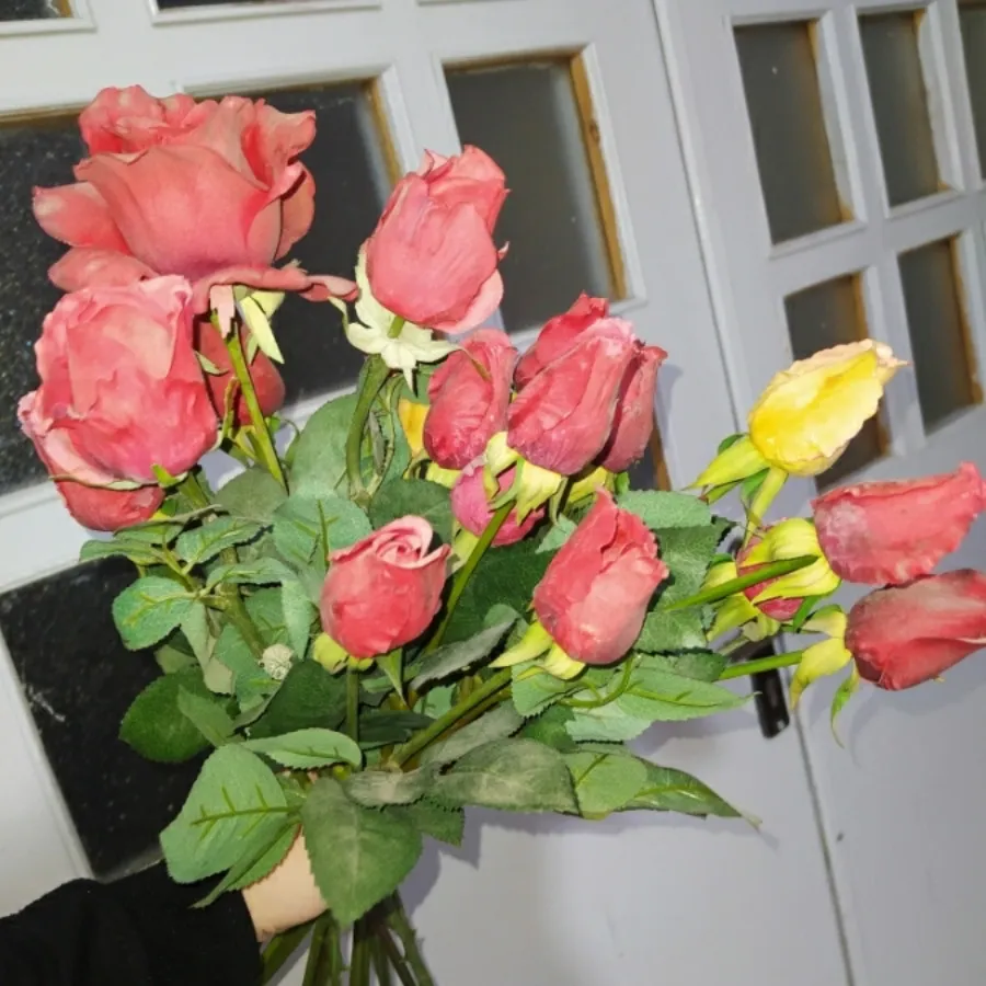 شاخه گل