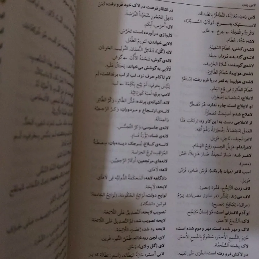 فرهنگ اصطلاحات معاصر