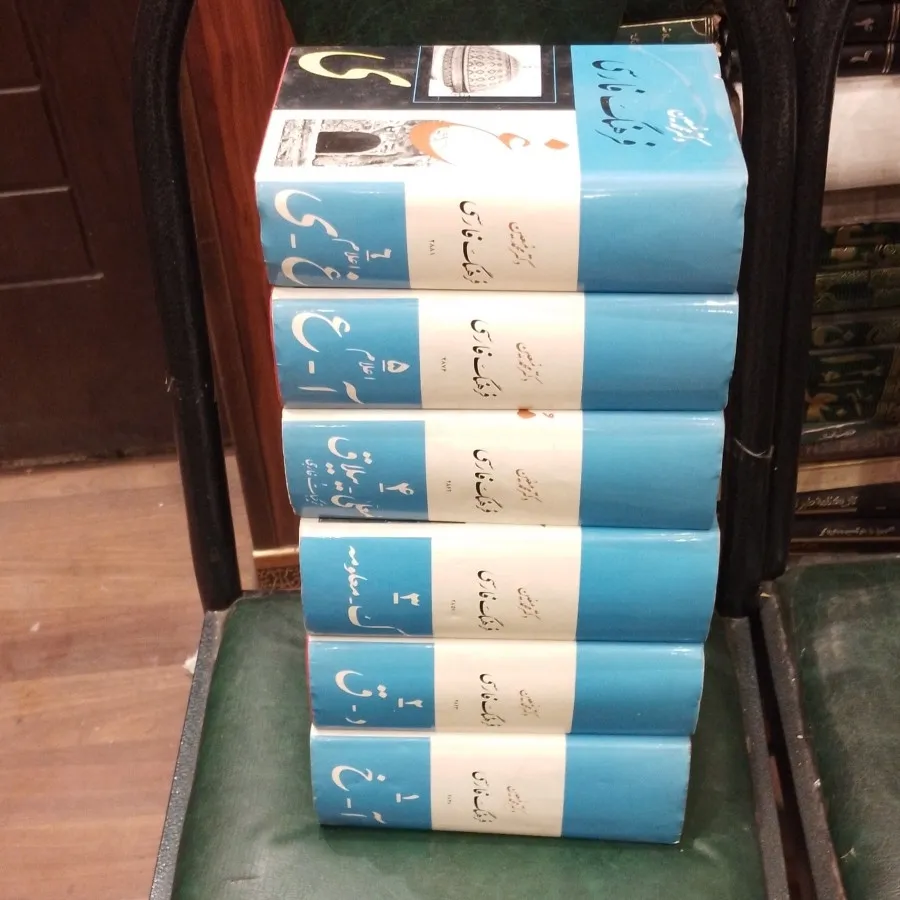 6جلدی معین