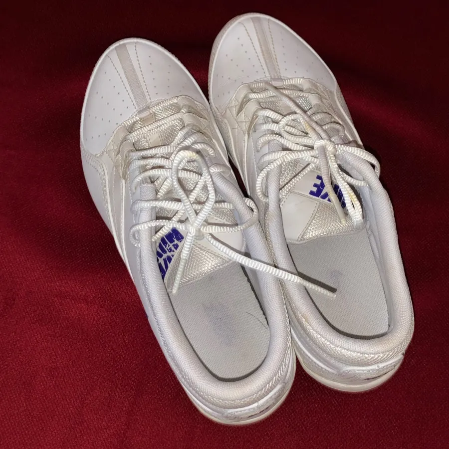 کتونی نایک ایر ویتنام