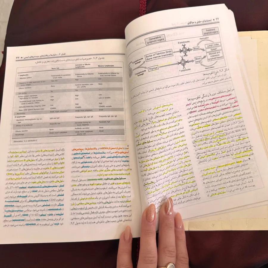 کتاب دانشگاهی