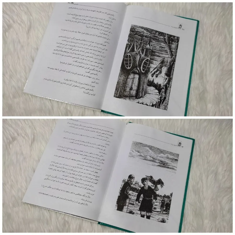 کتاب قالیچه پرنده