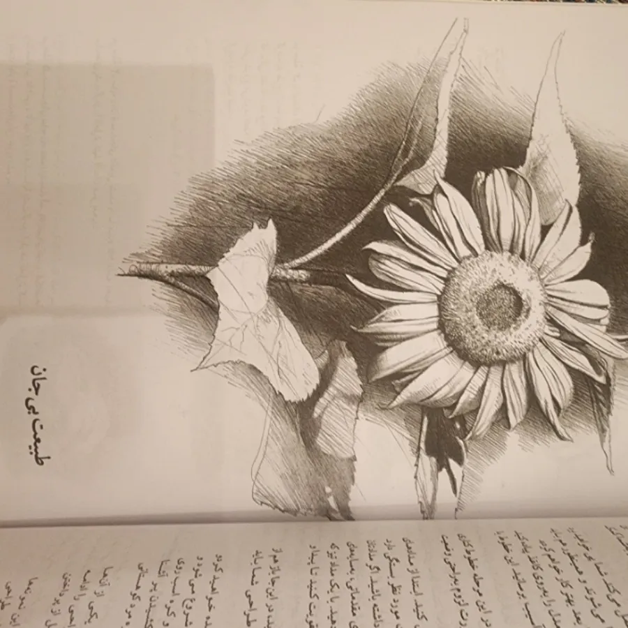 کتاب چگونه طراحی کنیم