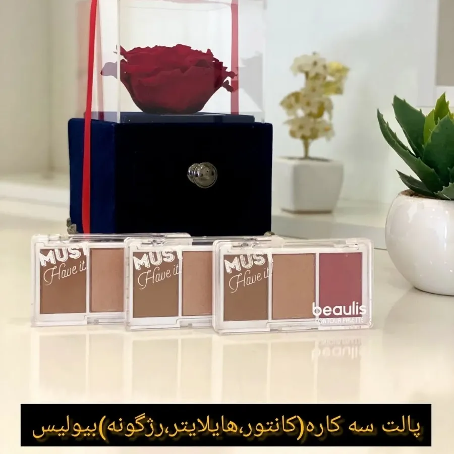 پالت سه کاره مینی بیولیس