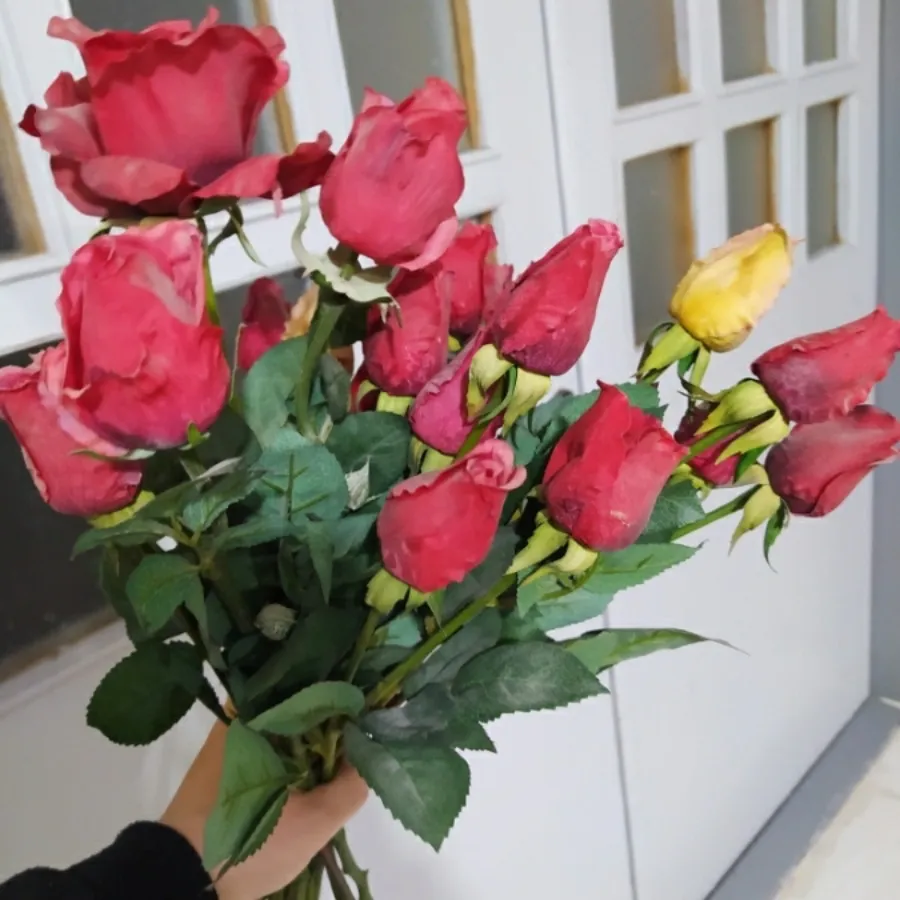 شاخه گل