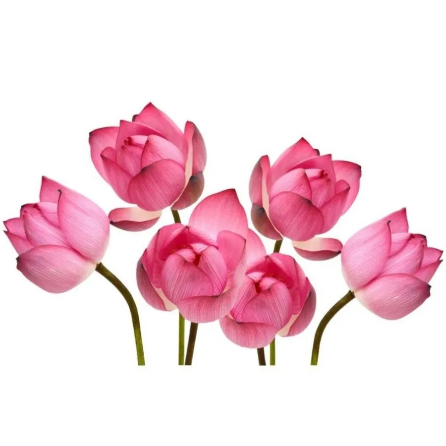تزیینات جدید دیوار
