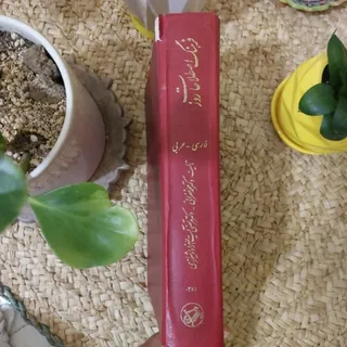 فرهنگ اصطلاحات معاصر