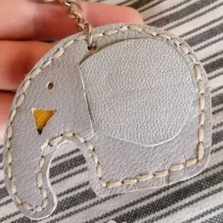 جاسوییچی
