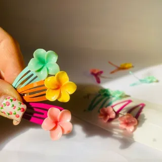 گیره تقی پلومریا