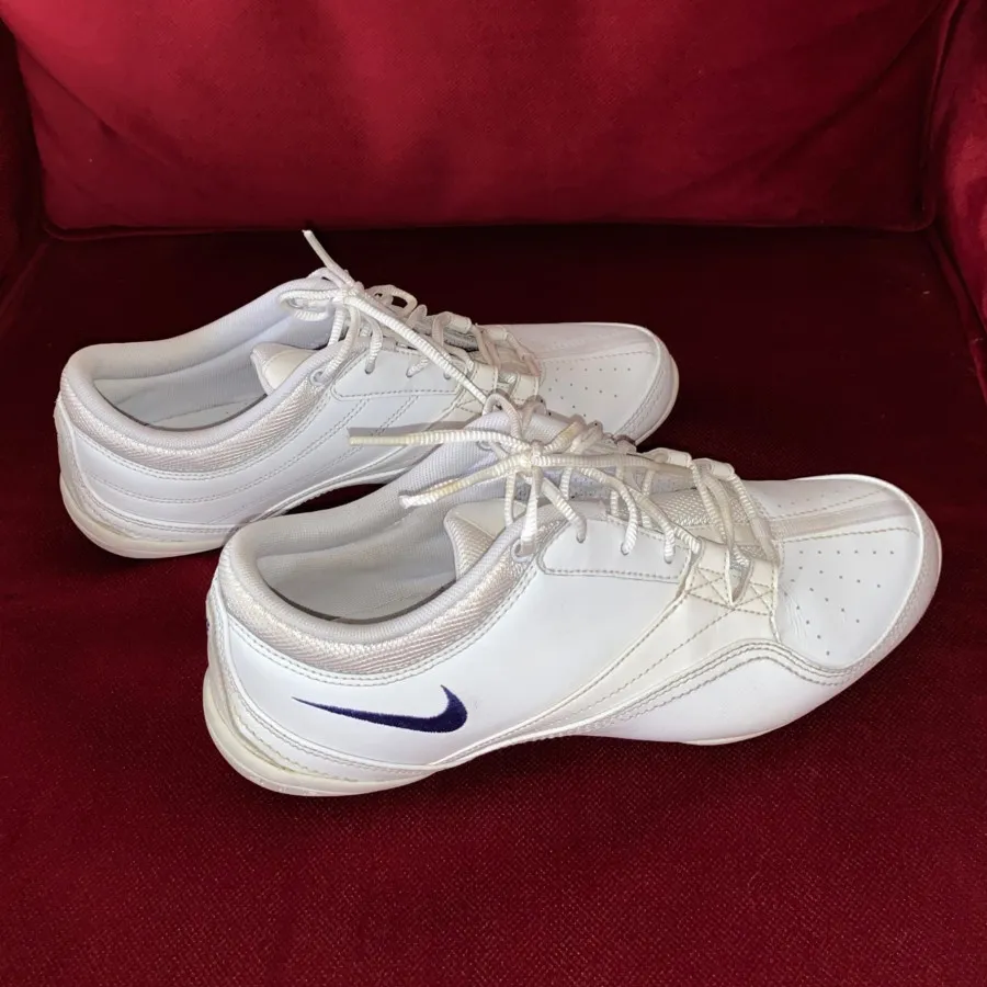 کتونی نایک ایر ویتنام