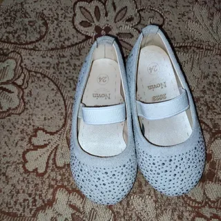 کفش مجلسی