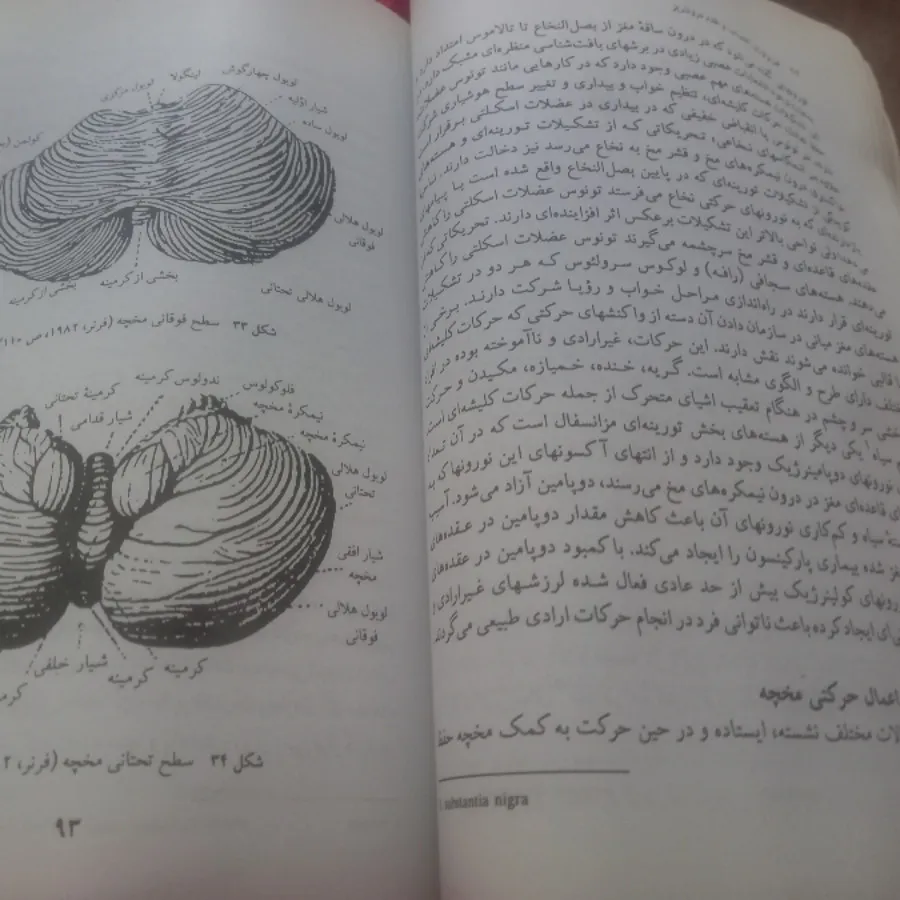 فیزیولوژی اعصاب و غدد