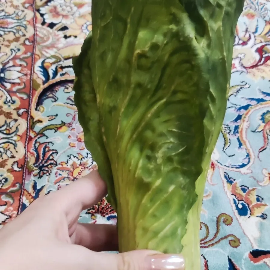 کاهو