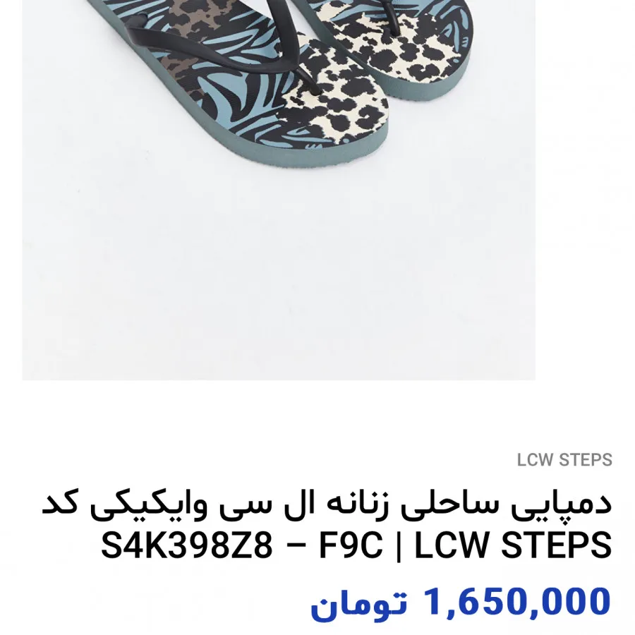 دمپایی ساحلی