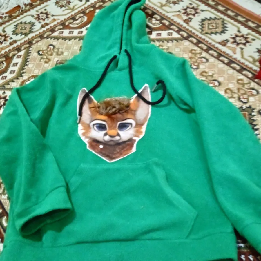 هودی