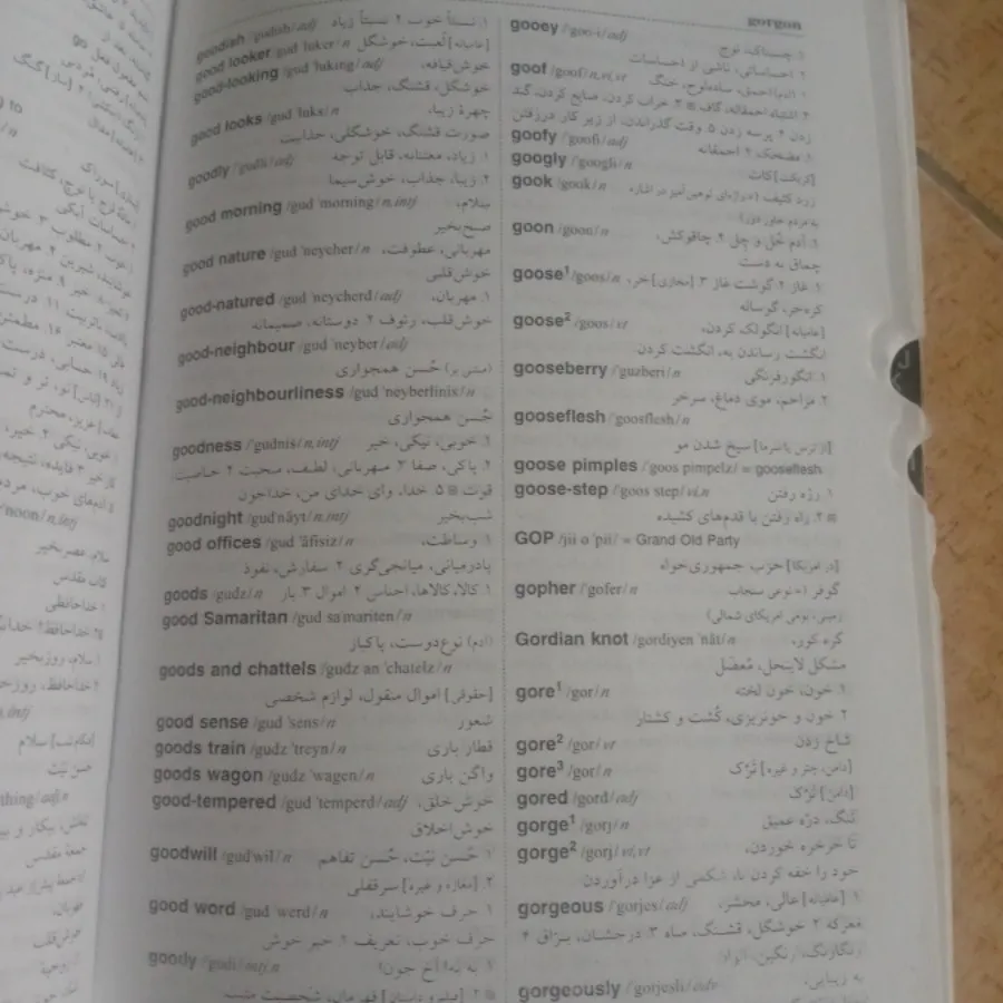 دیکشنری انگلیسی به فارسی