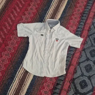 شومیز