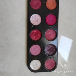 پالت 12 رنگ رژ لب و گونه