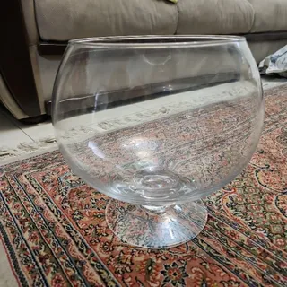 آجیل خوری