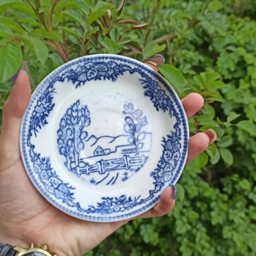 نعلبکی قلم آبی