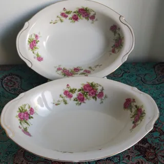 مرغ خوری ژاپنی