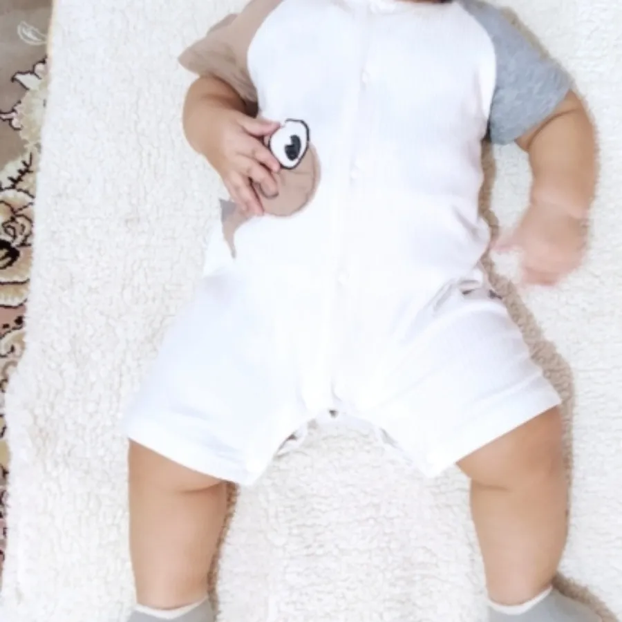 رمپر