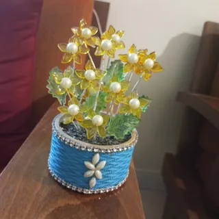 درختچه دکوری مروارید