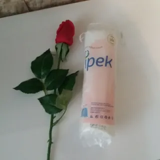 پد آرایشی