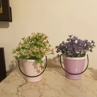 سطل های گل فانتزی