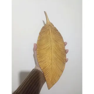 جا عودی