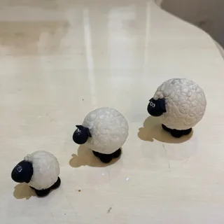3تا گوسفند دکوری