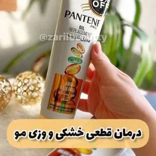کرم مو