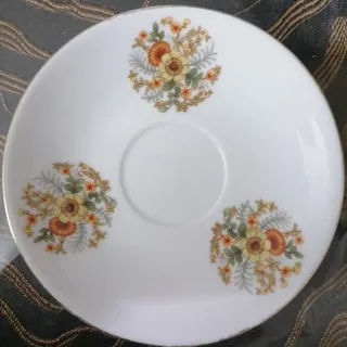 از این نلبکی